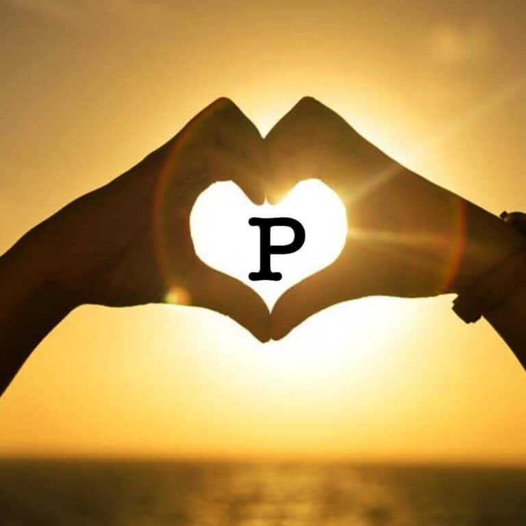P Name DP