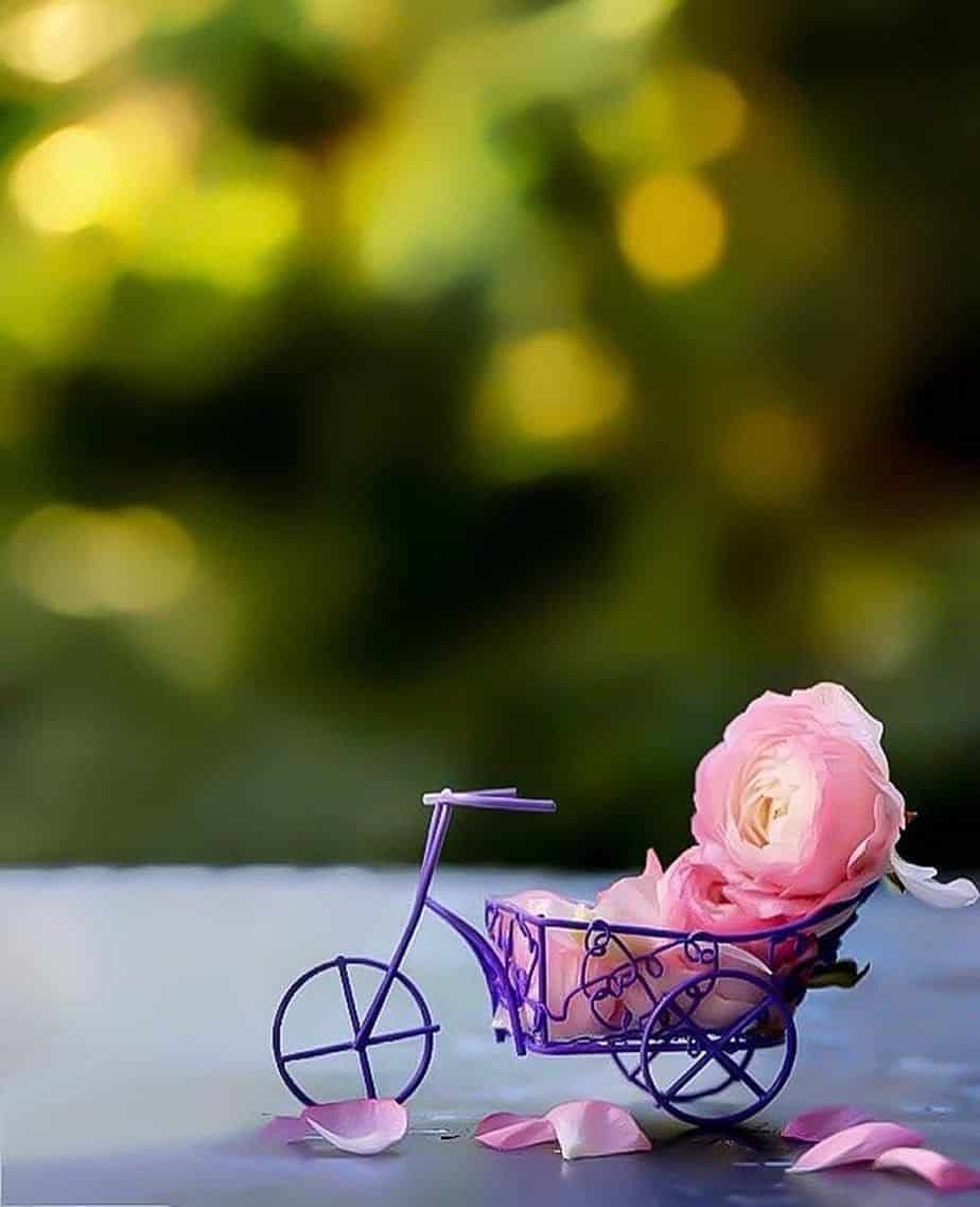 Cute Whatsapp Photo