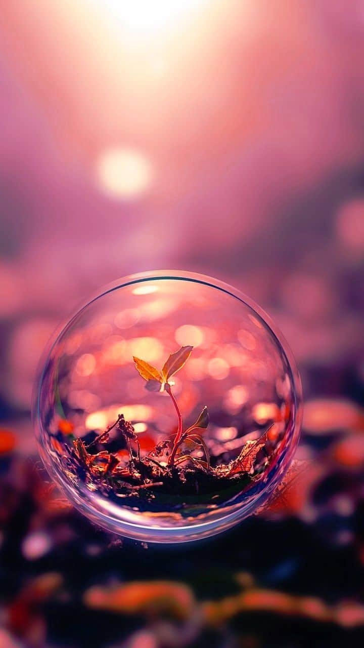 Cute Whatsapp Photo