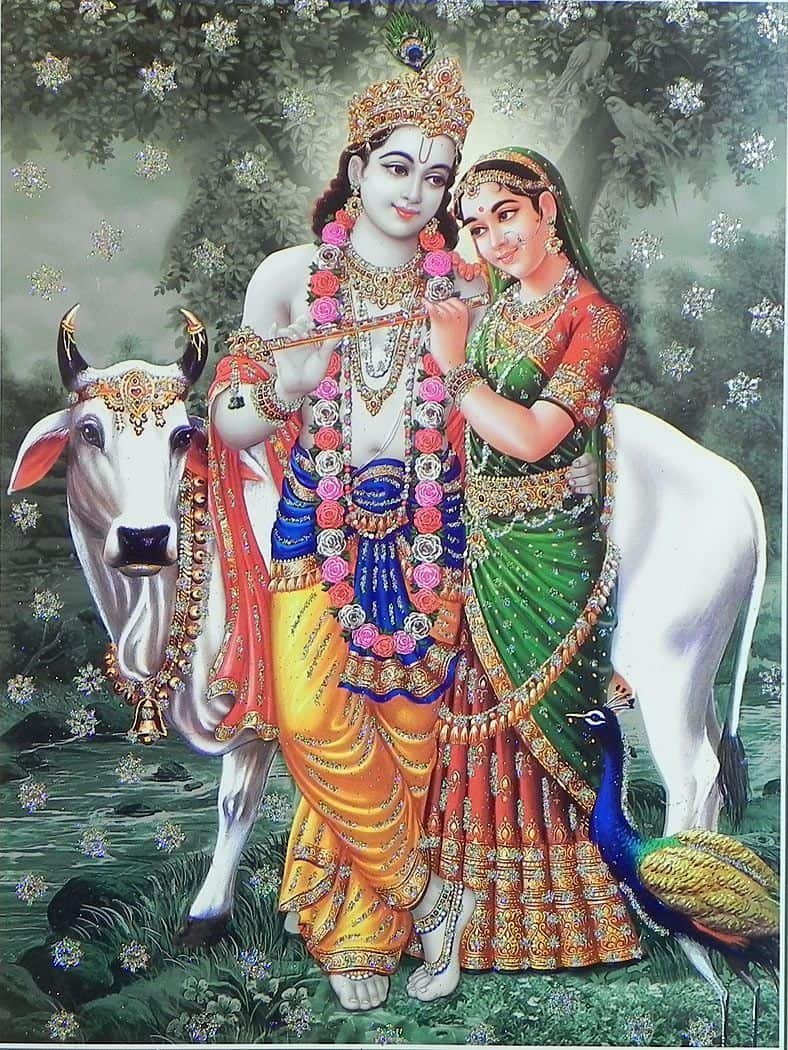 Krishna Images