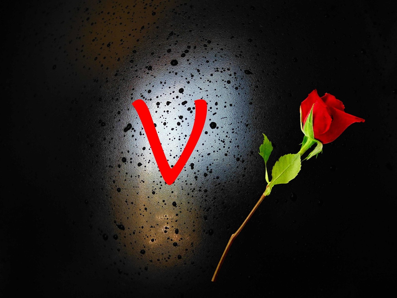 V Name DP