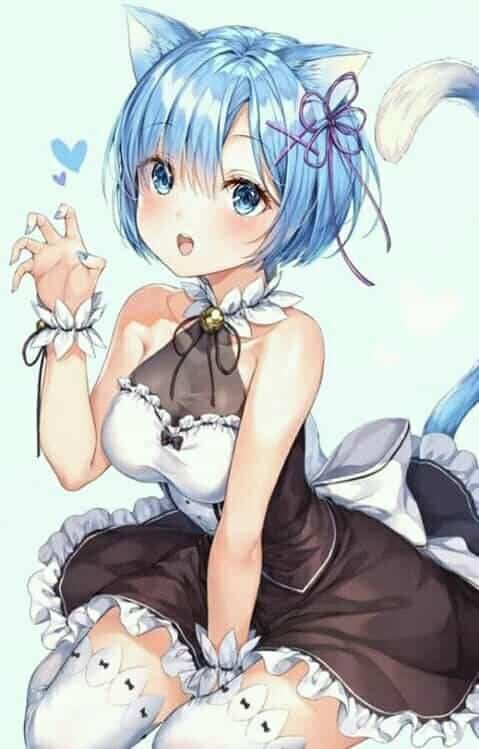 DP for Girls Cartoon