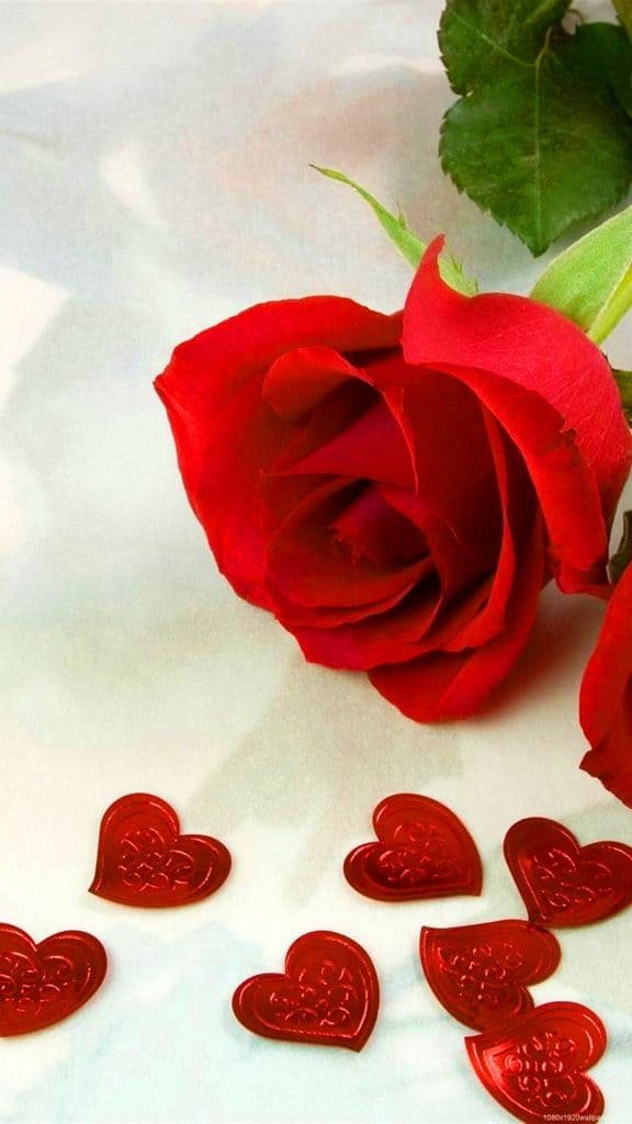 DP Ke Liye Picture