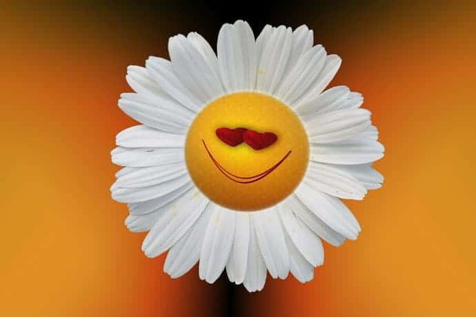 Love Emoji Pic