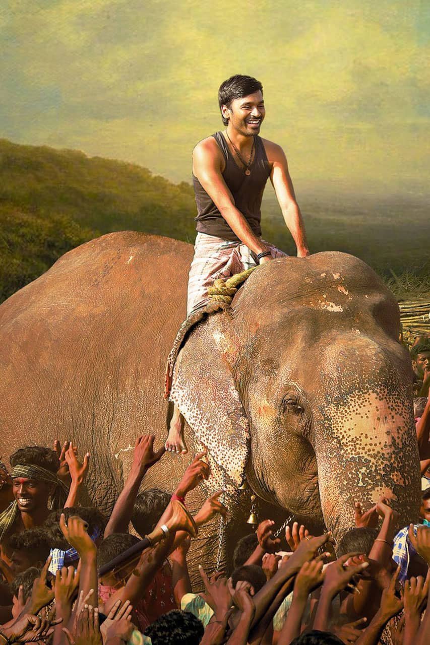 Hero Dhanush Photos