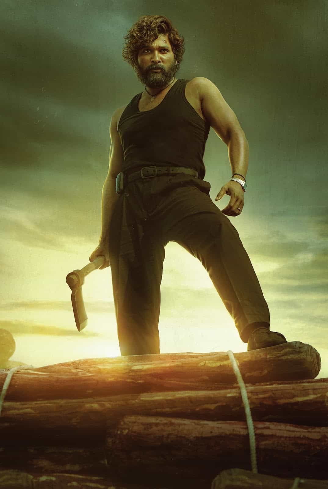 Allu Arjun Pushpa Photos
