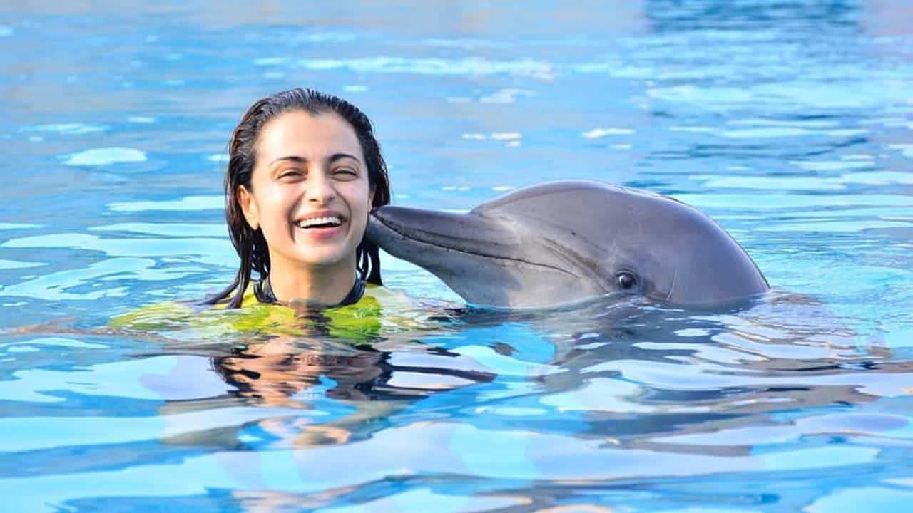 Trisha Krishnan Photos