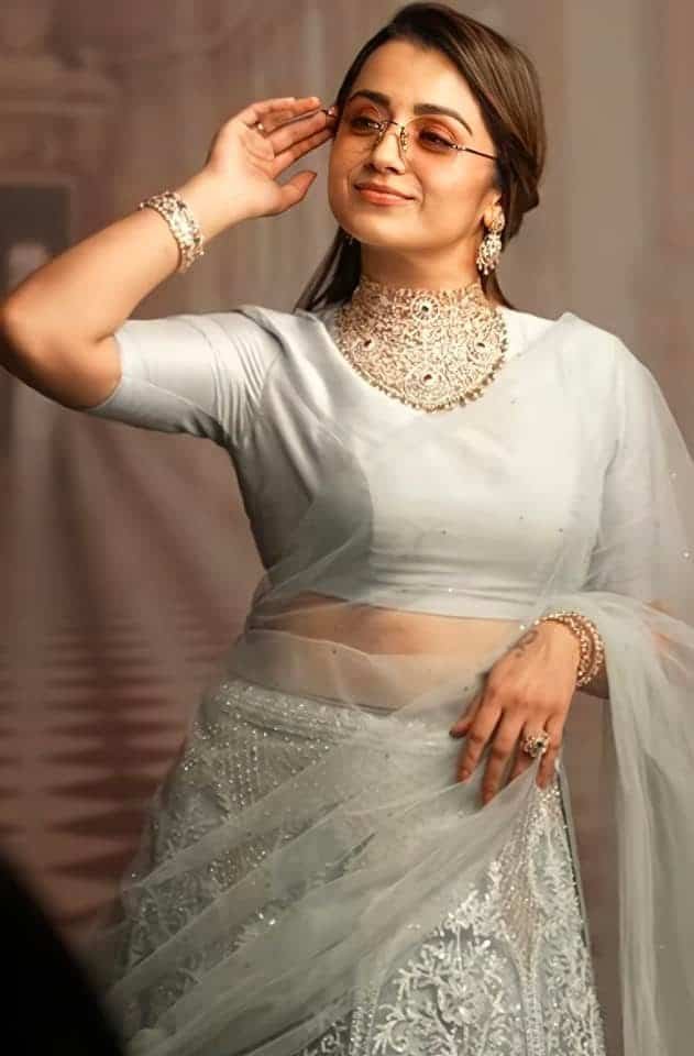 Trisha Photos in Saree