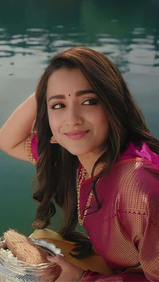 Trisha Photos in Saree