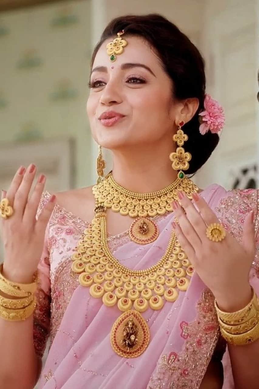 Trisha Photos in Saree