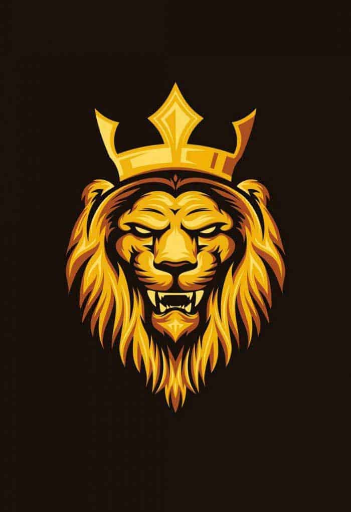 King DP HD