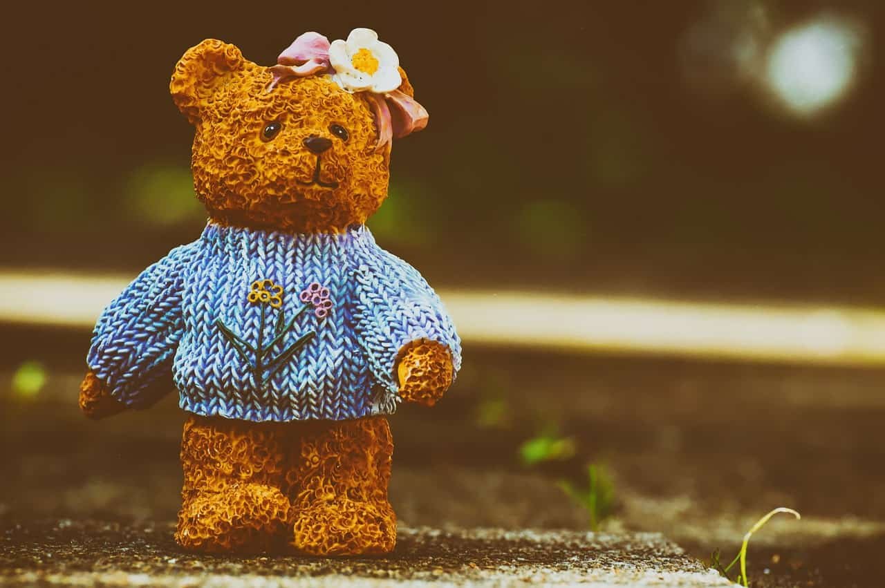 Teddy Bear DP