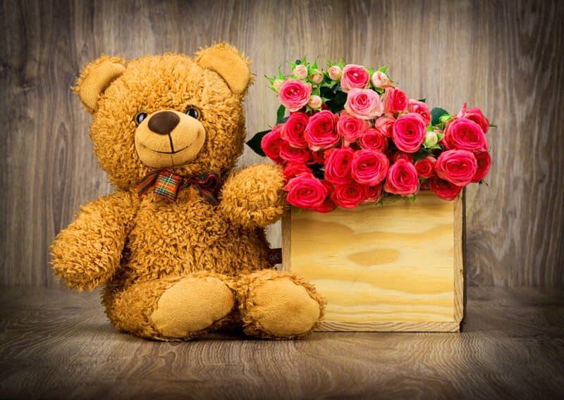 Teddy Bear DP
