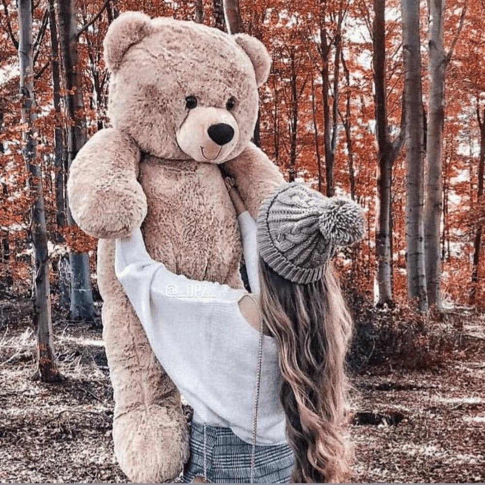 Teddy Bear DP HD
