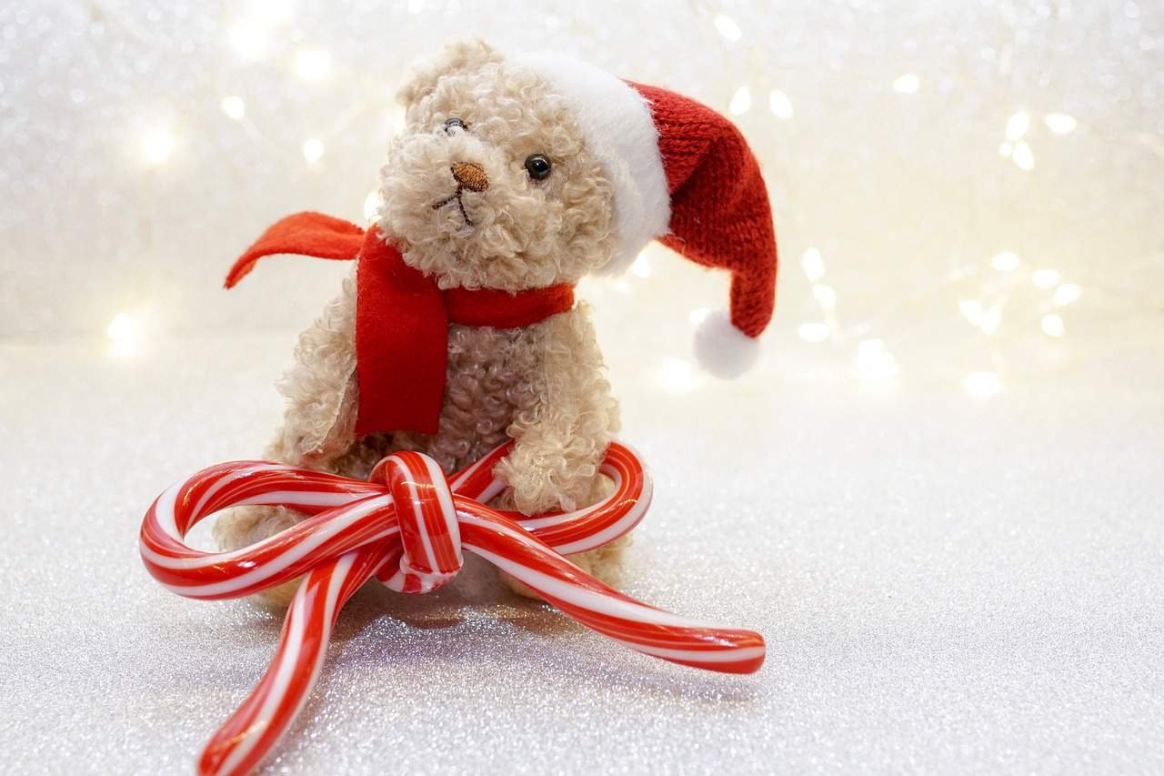 Teddy Bear DP HD