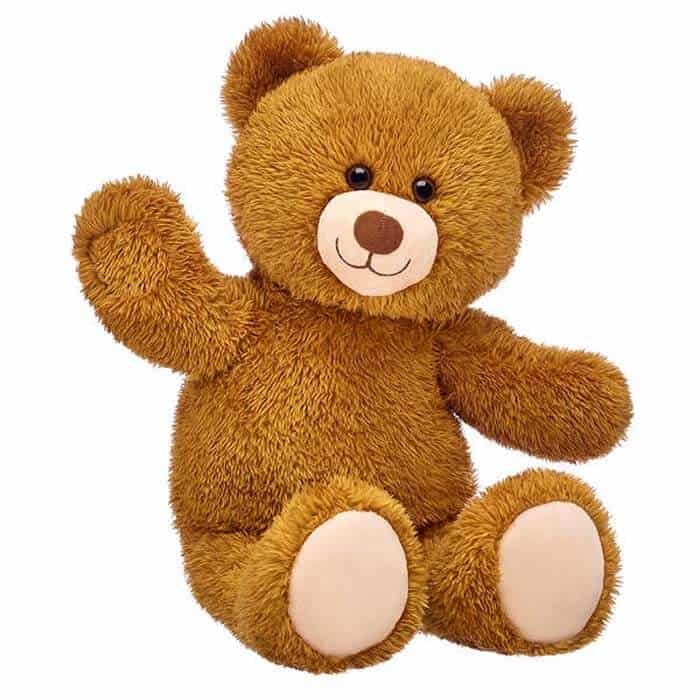 Teddy Bear DP HD