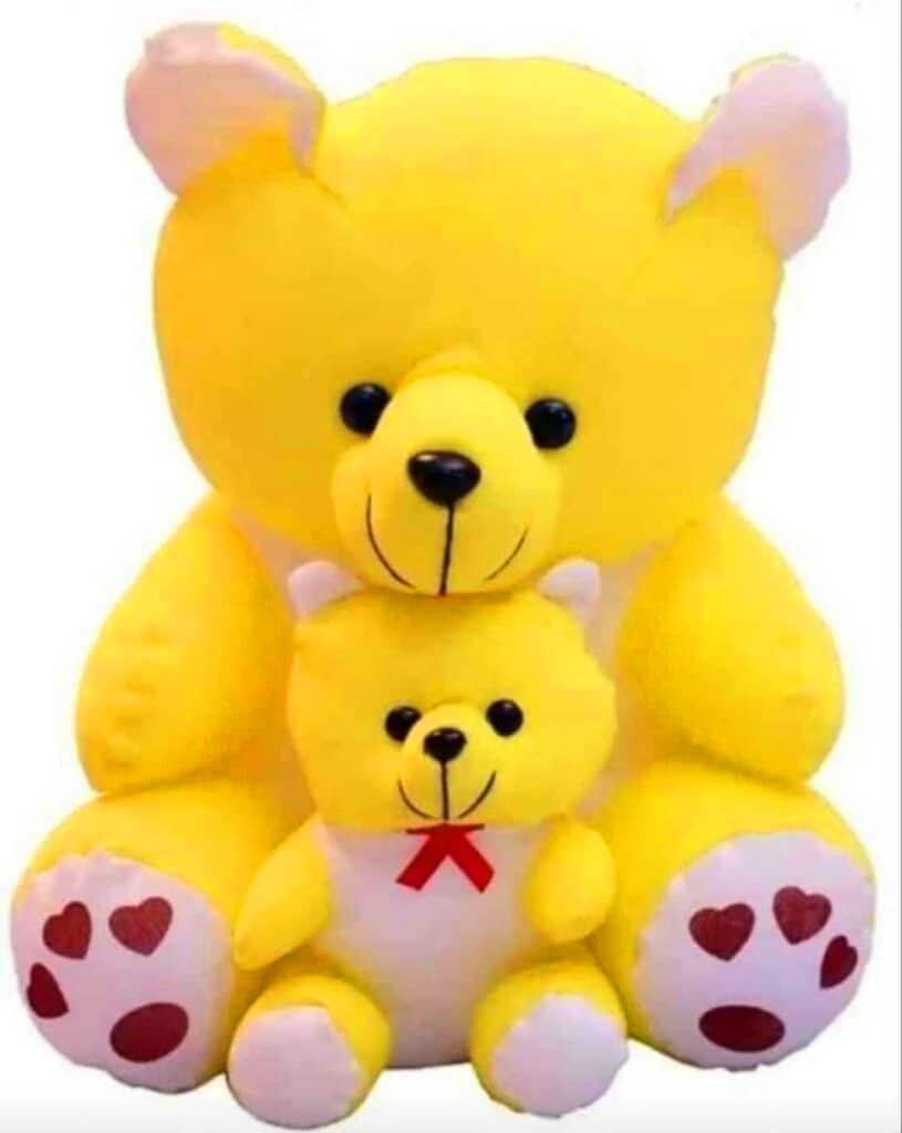 Teddy Bear DP HD