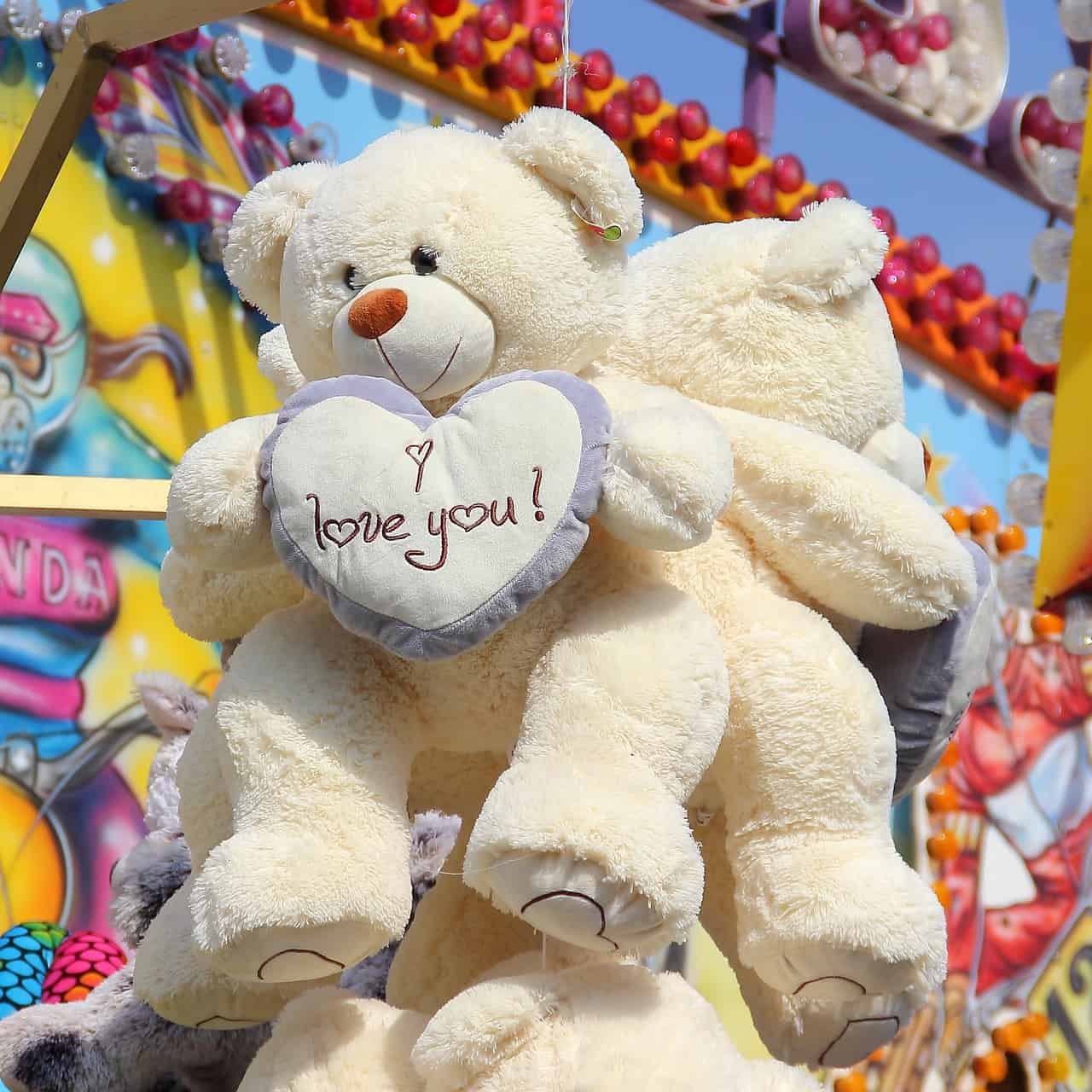 Teddy Bear DP HD