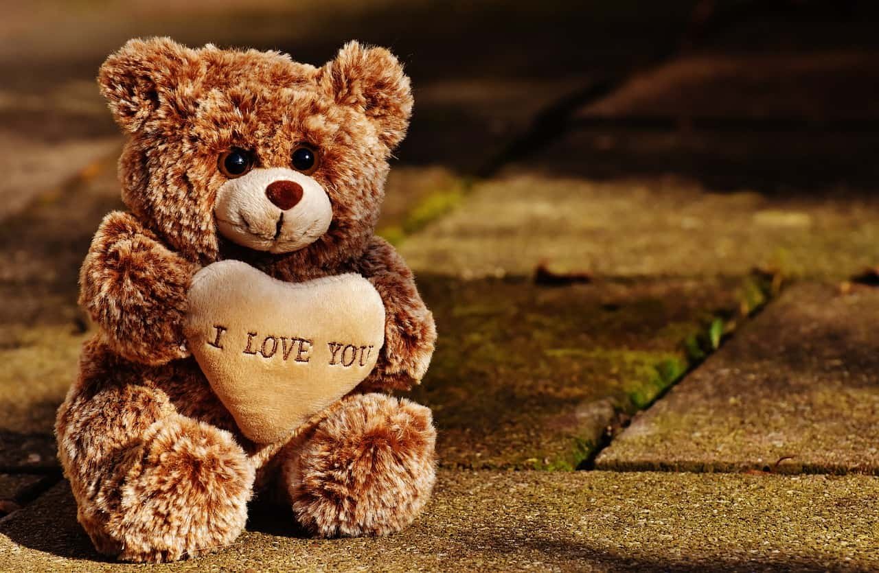 Teddy Bear DP HD