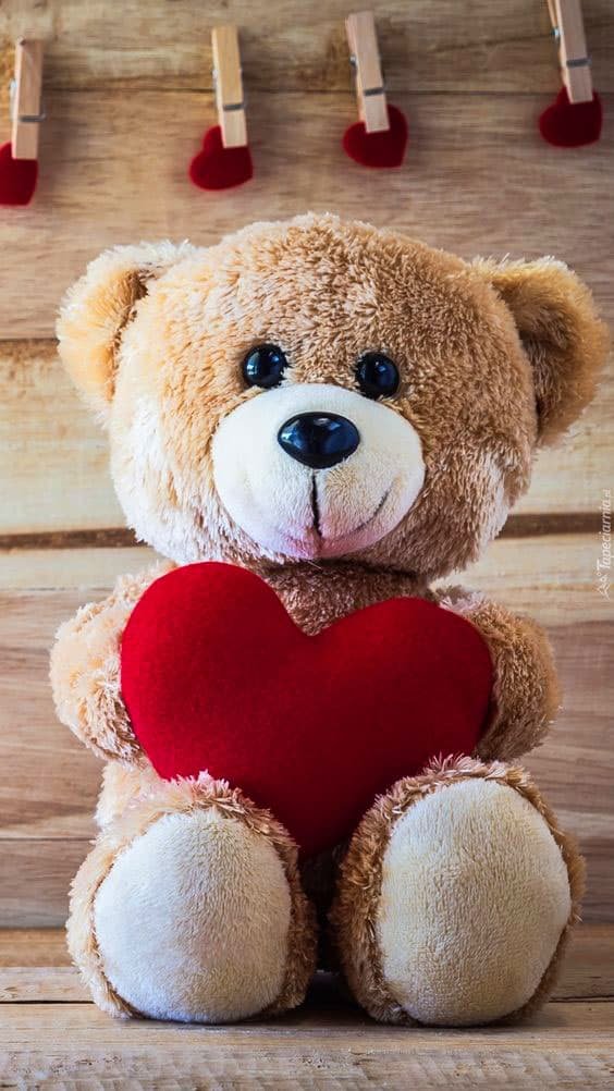 Teddy Bear DP HD