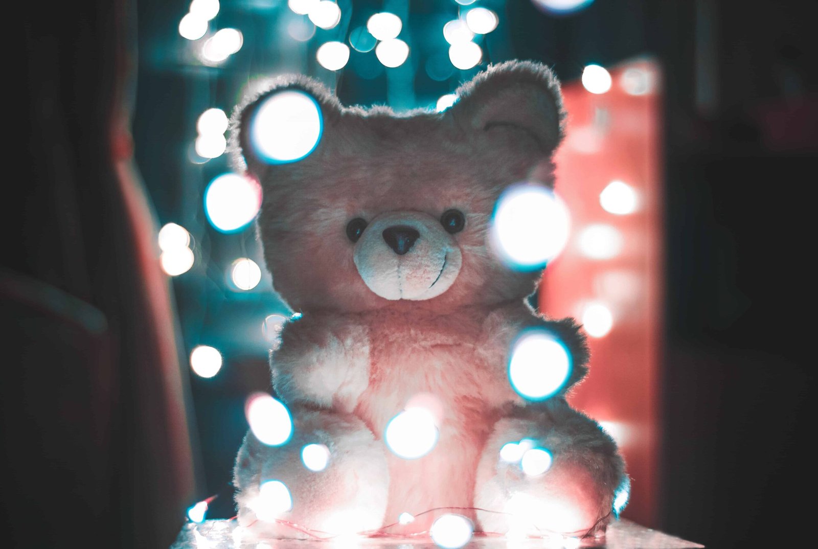 Big Teddy Bear DP
