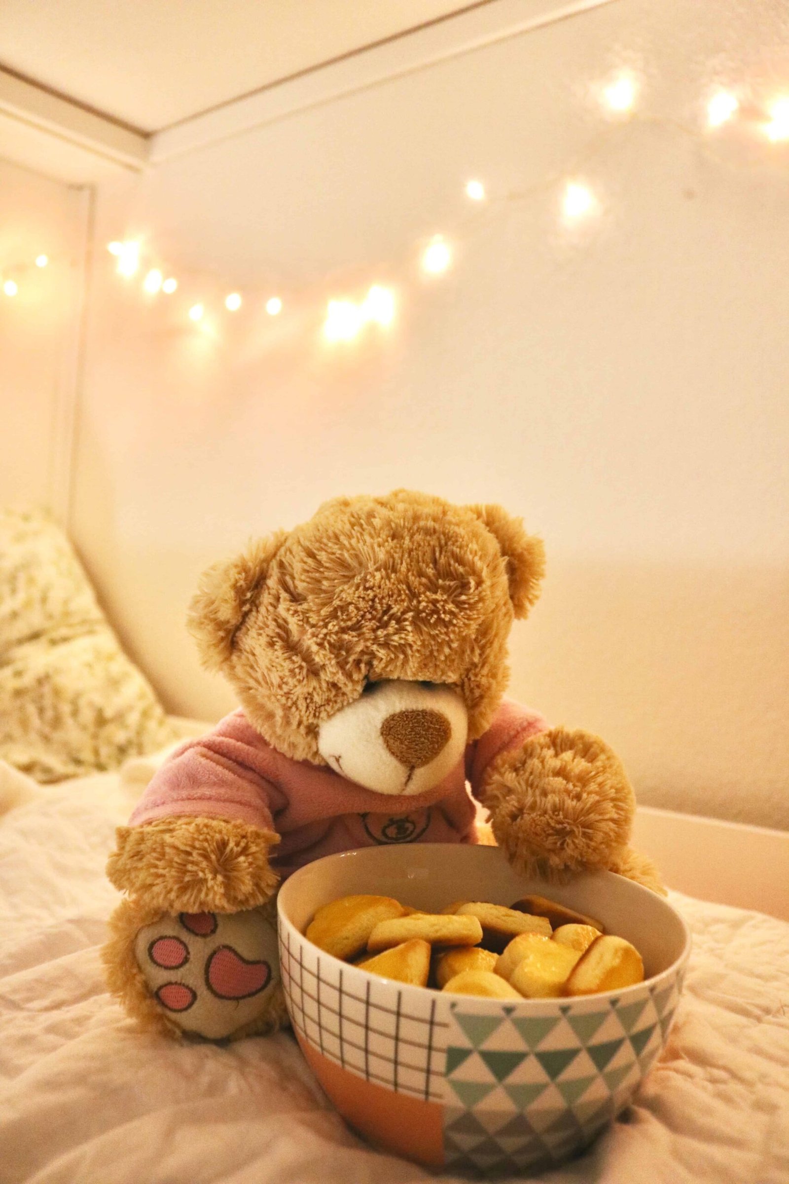 Big Teddy Bear DP