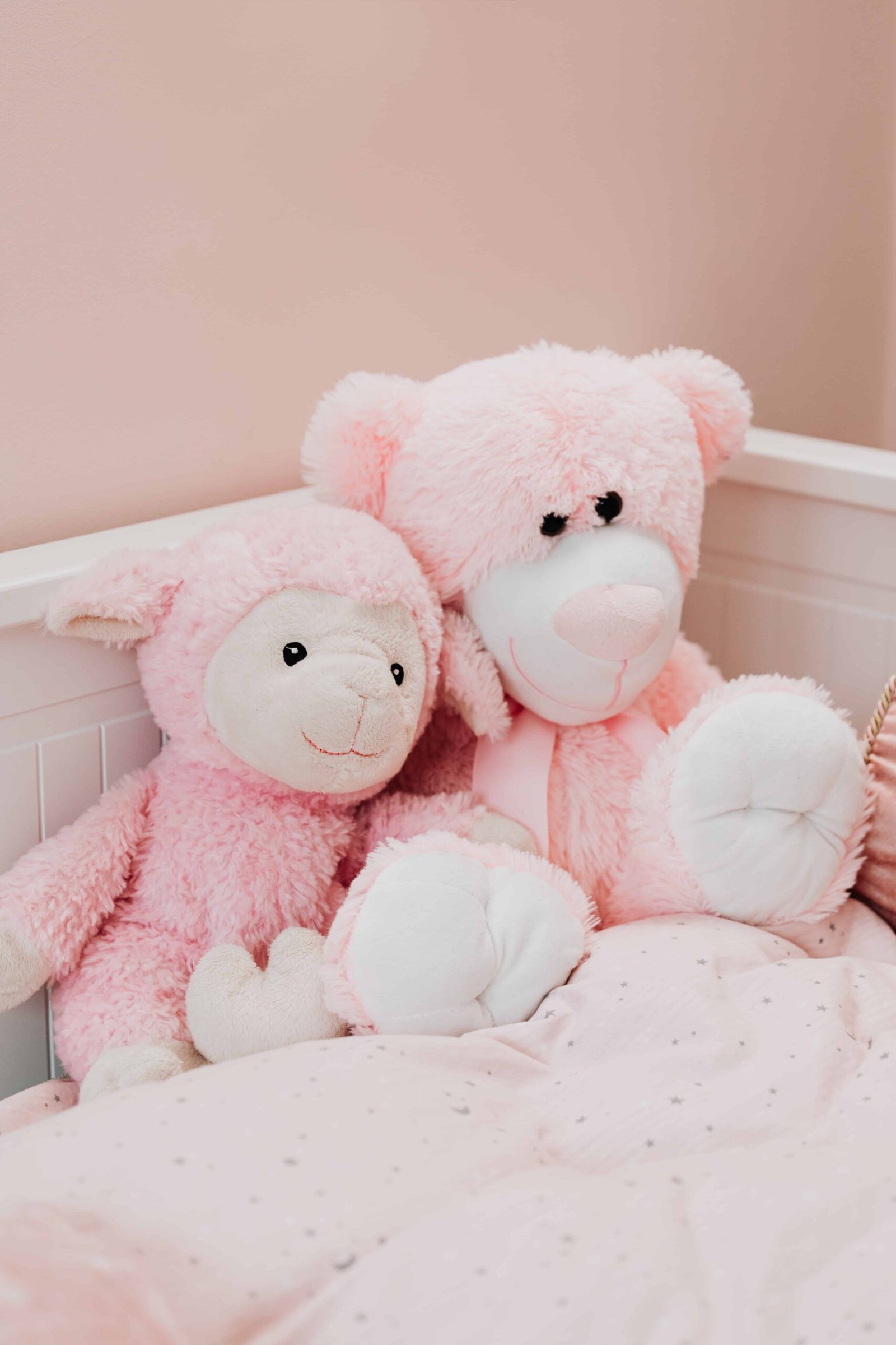 Big Teddy Bear DP