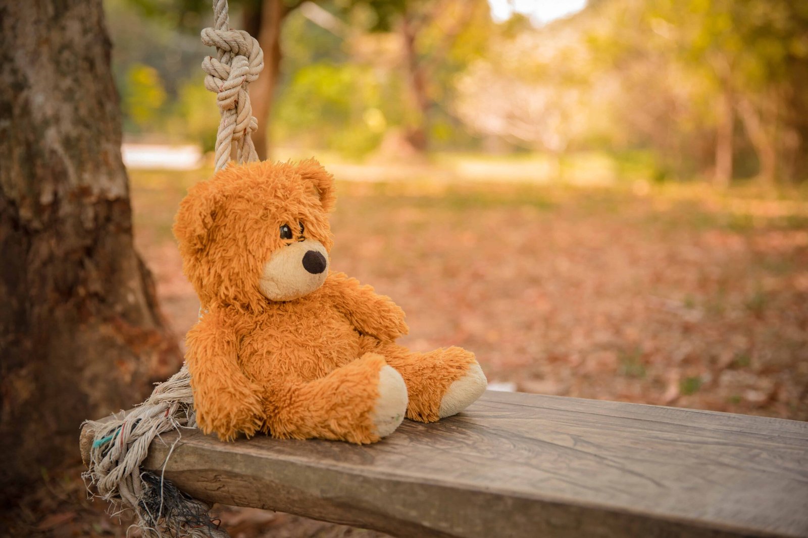 Big Teddy Bear DP