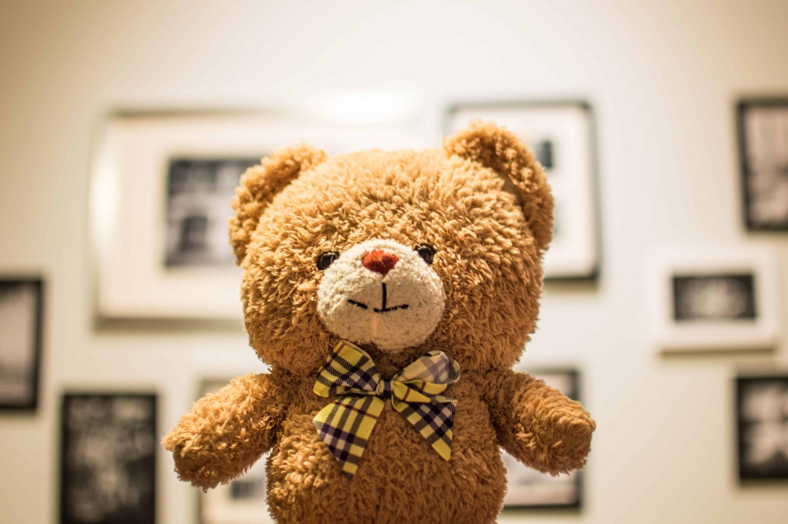 Big Teddy Bear DP