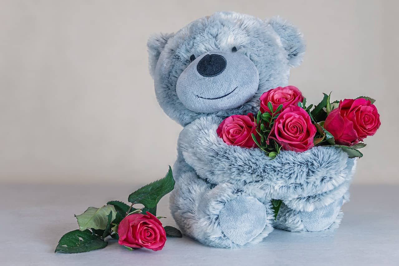Big Teddy Bear DP