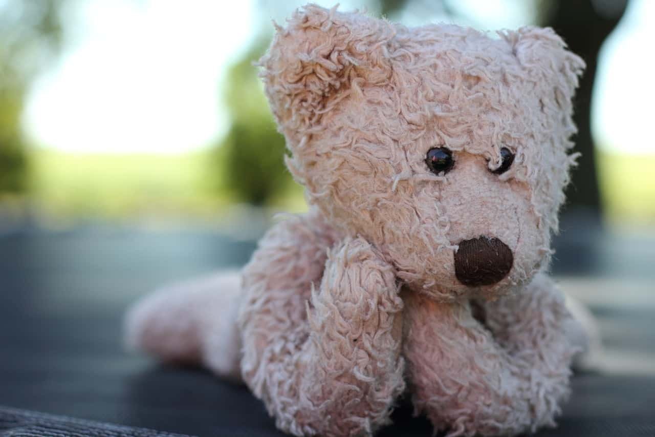 Cute Teddy Bear DP