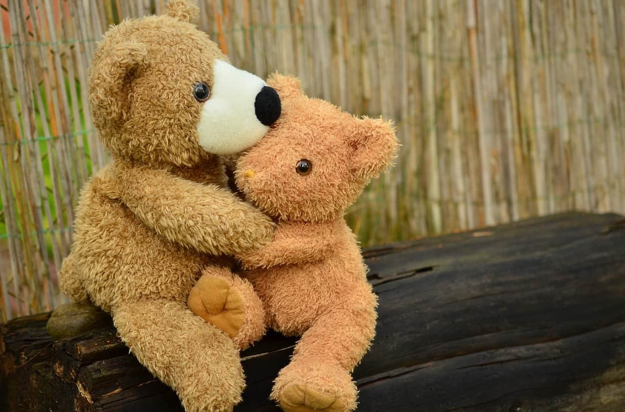 Cute Teddy Bear DP