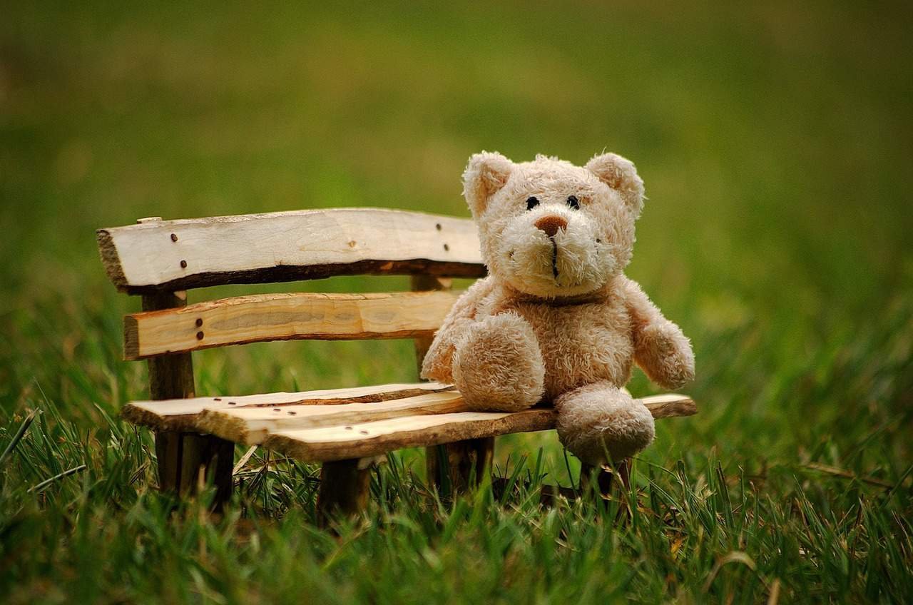 Cute Teddy Bear DP