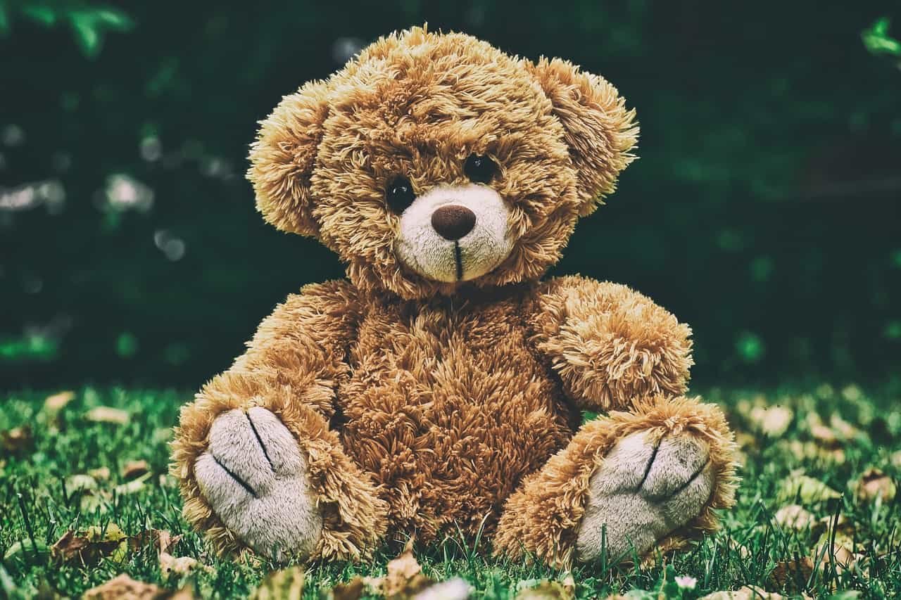 Sweet Teddy Bear DP