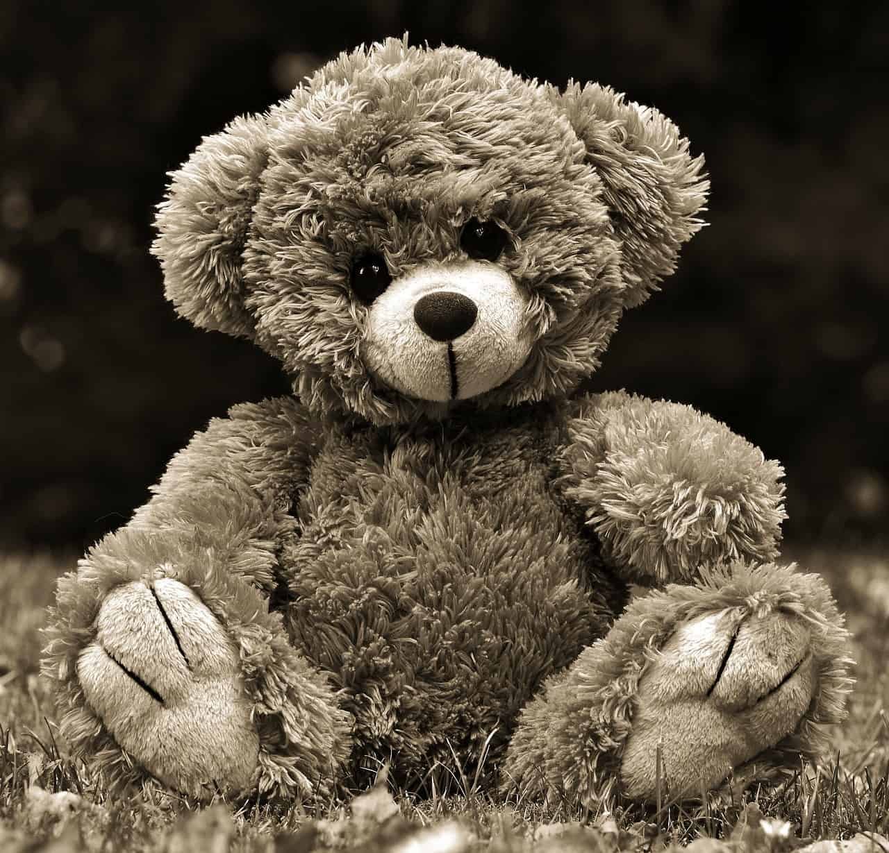 Sweet Teddy Bear DP