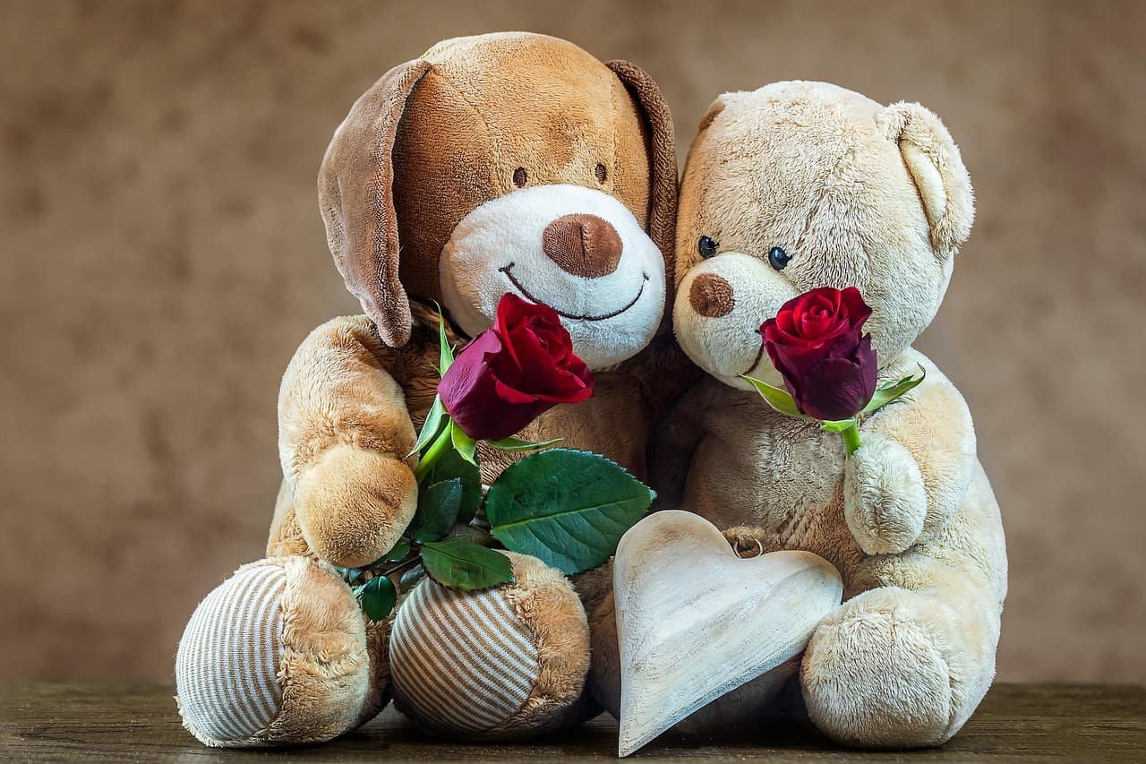 Sweet Teddy Bear DP
