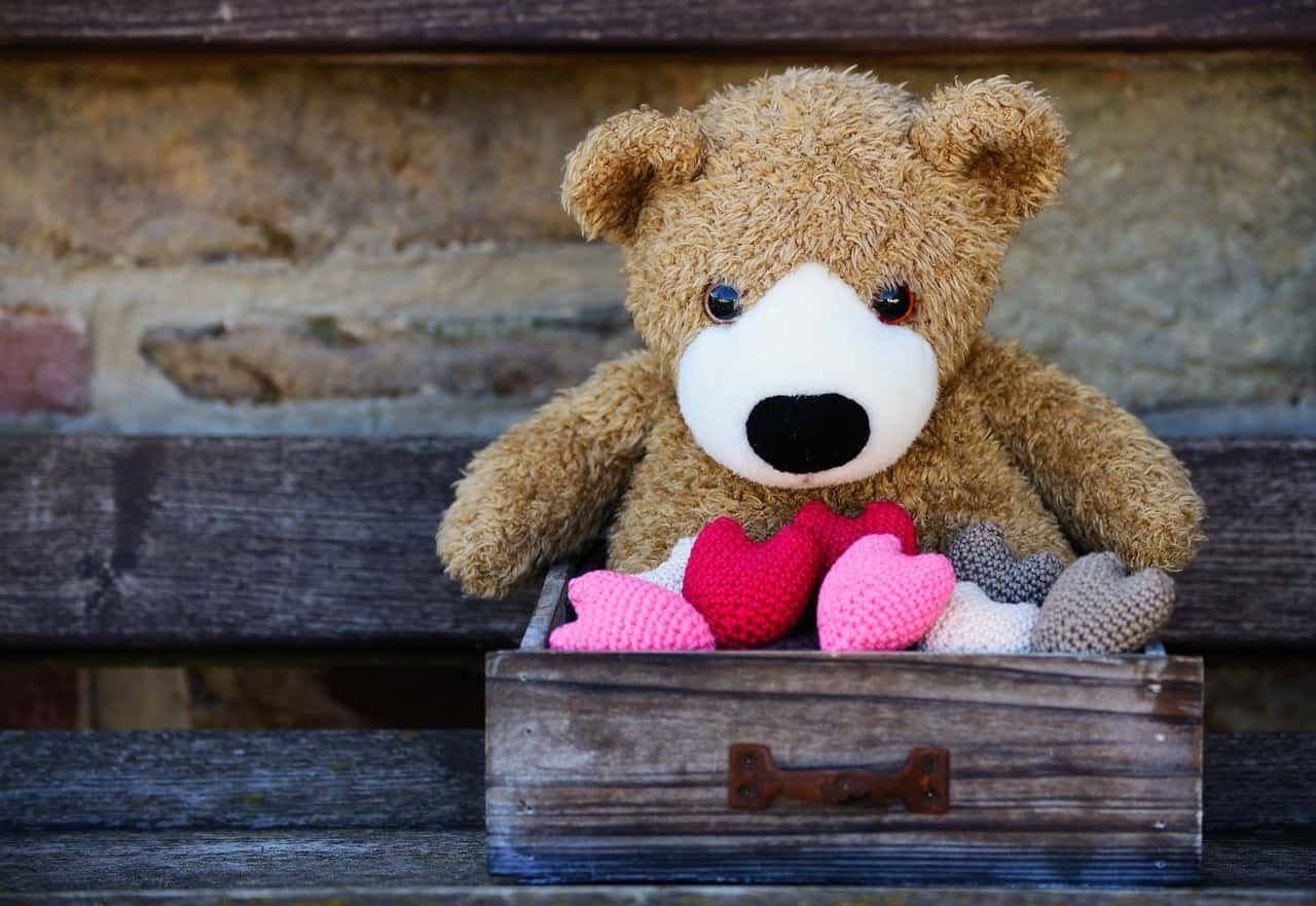 Sweet Teddy Bear DP
