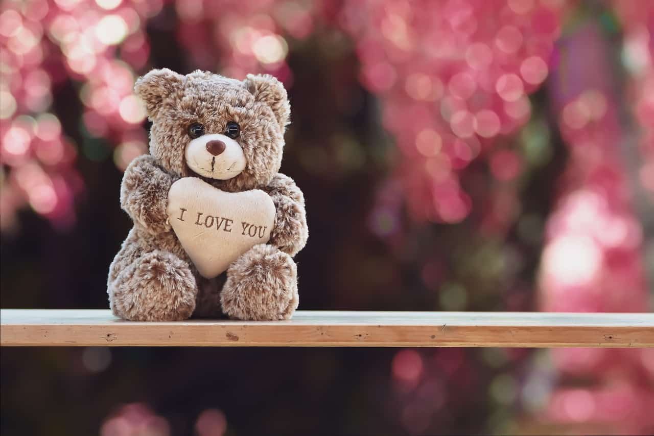 Sweet Teddy Bear DP