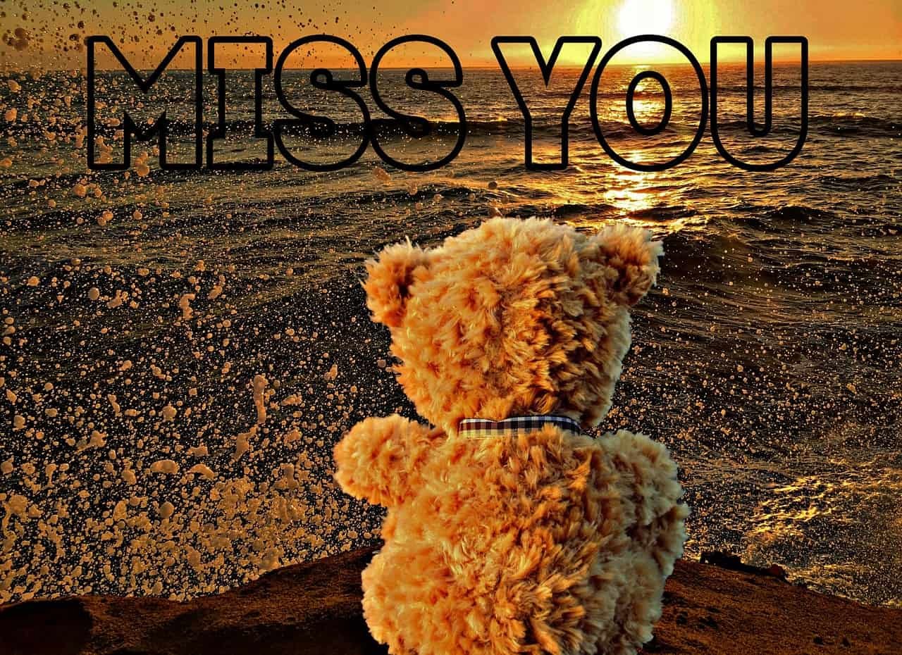 Sweet Teddy Bear DP