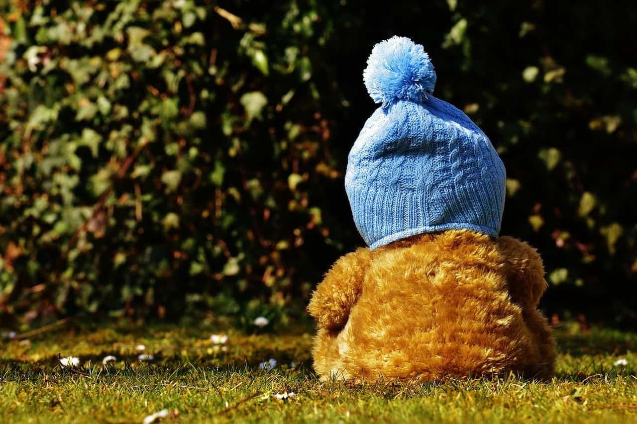 Sweet Teddy Bear DP
