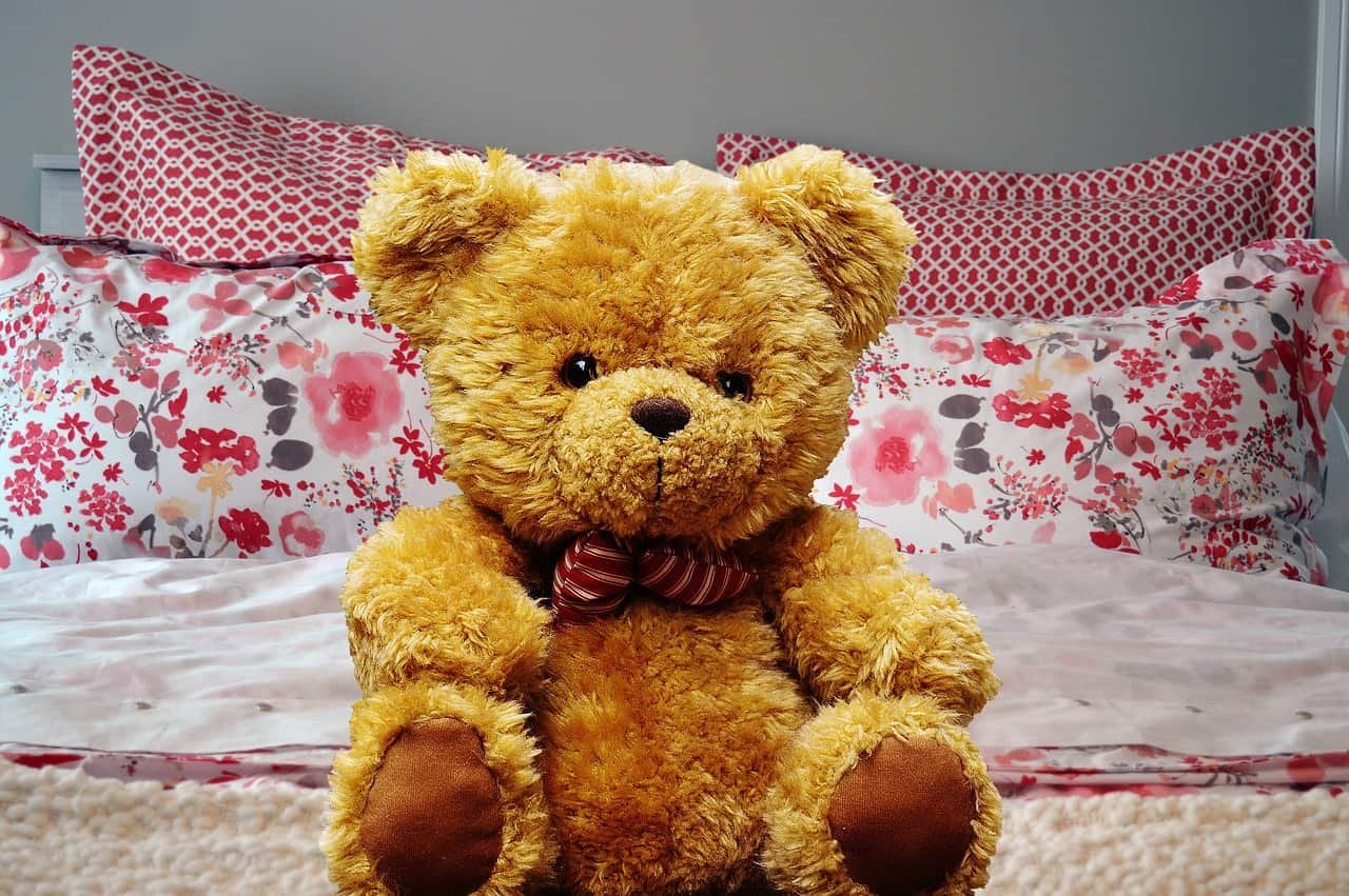 Sweet Teddy Bear DP