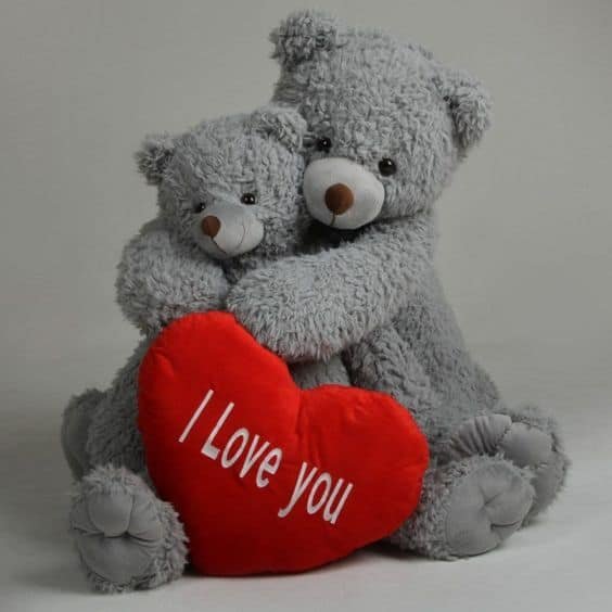 Teddy Bear DP for Instagram
