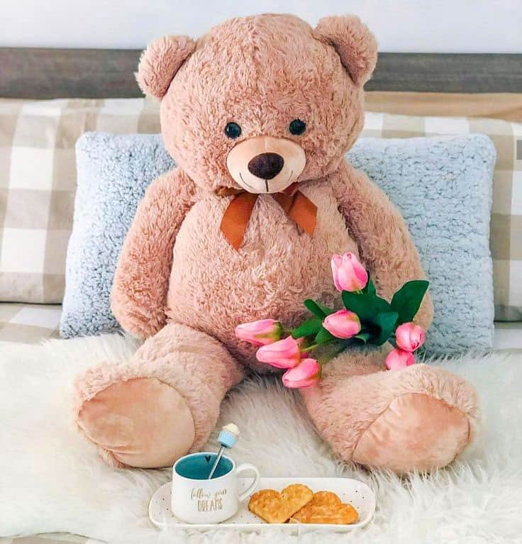 Teddy Bear DP for Instagram