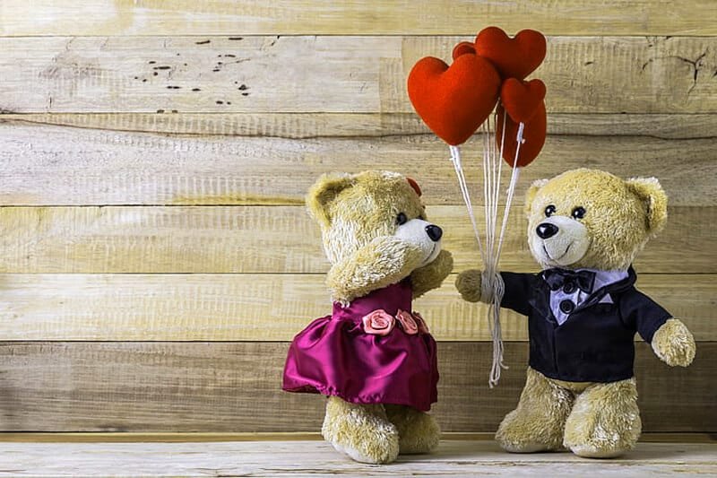Teddy Bear DP for Instagram