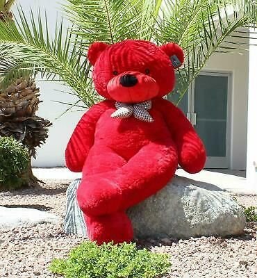 Teddy Bear DP for Instagram