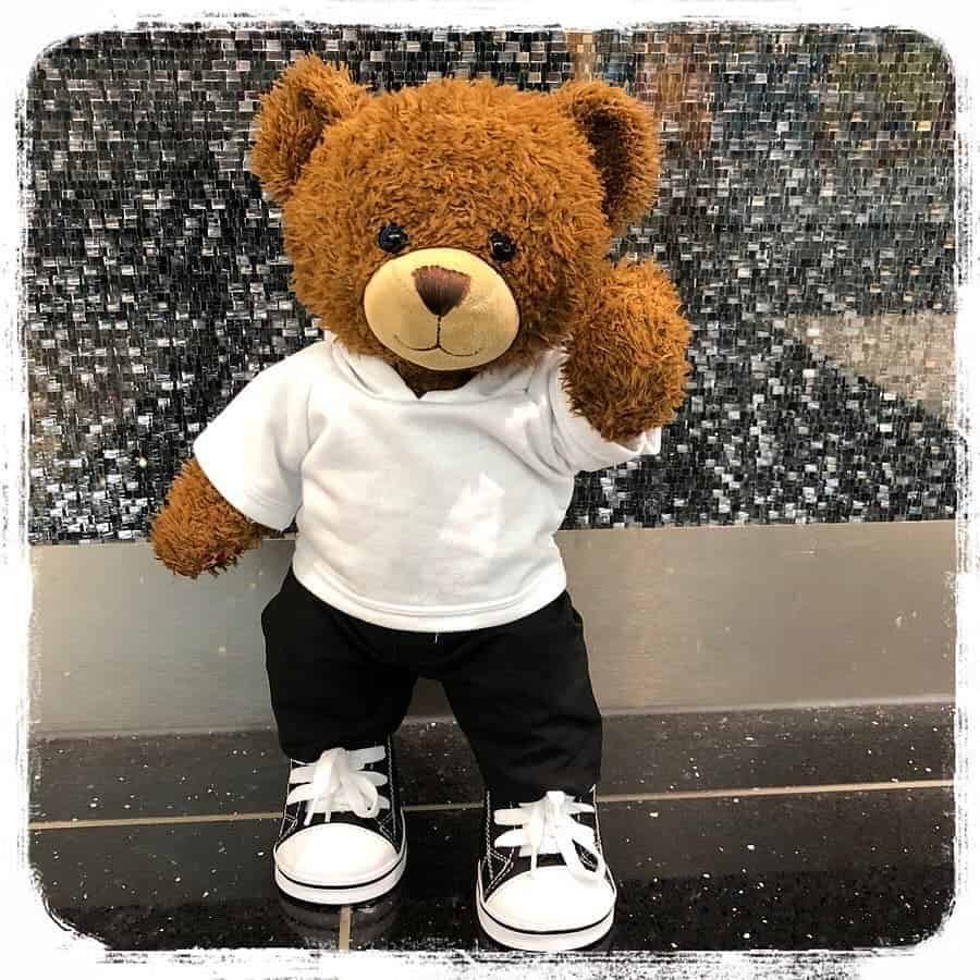Teddy Bear Images for DP