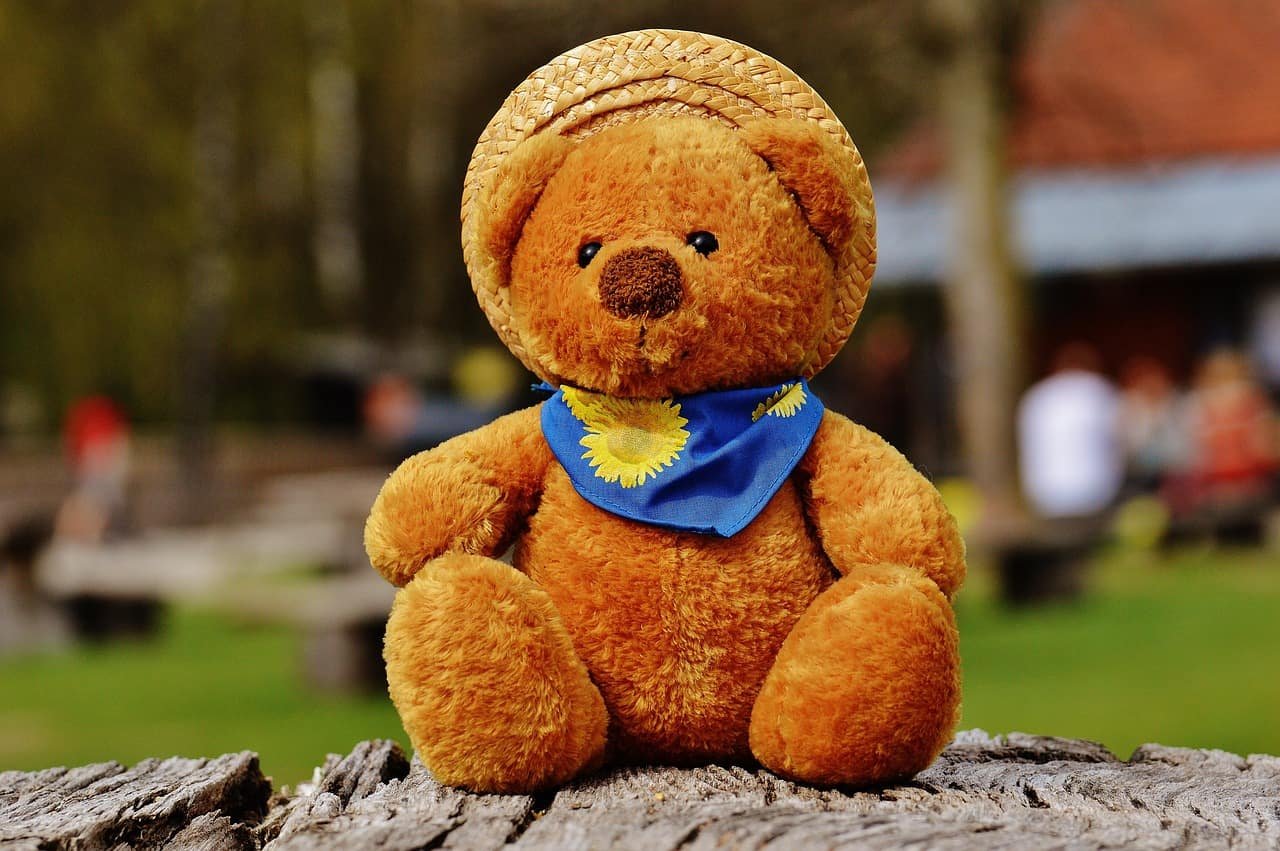 Teddy Bear DP