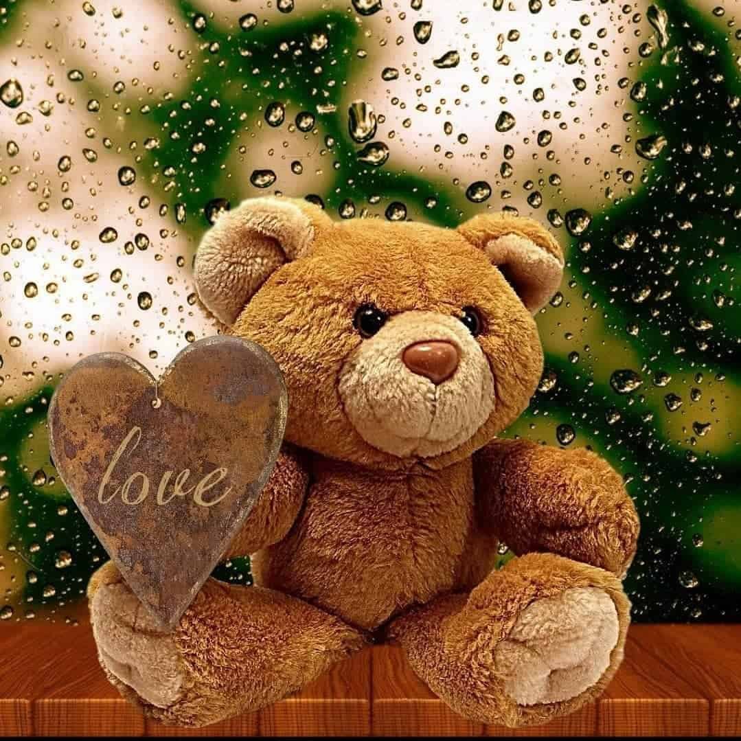 Teddy Bear Images for DP