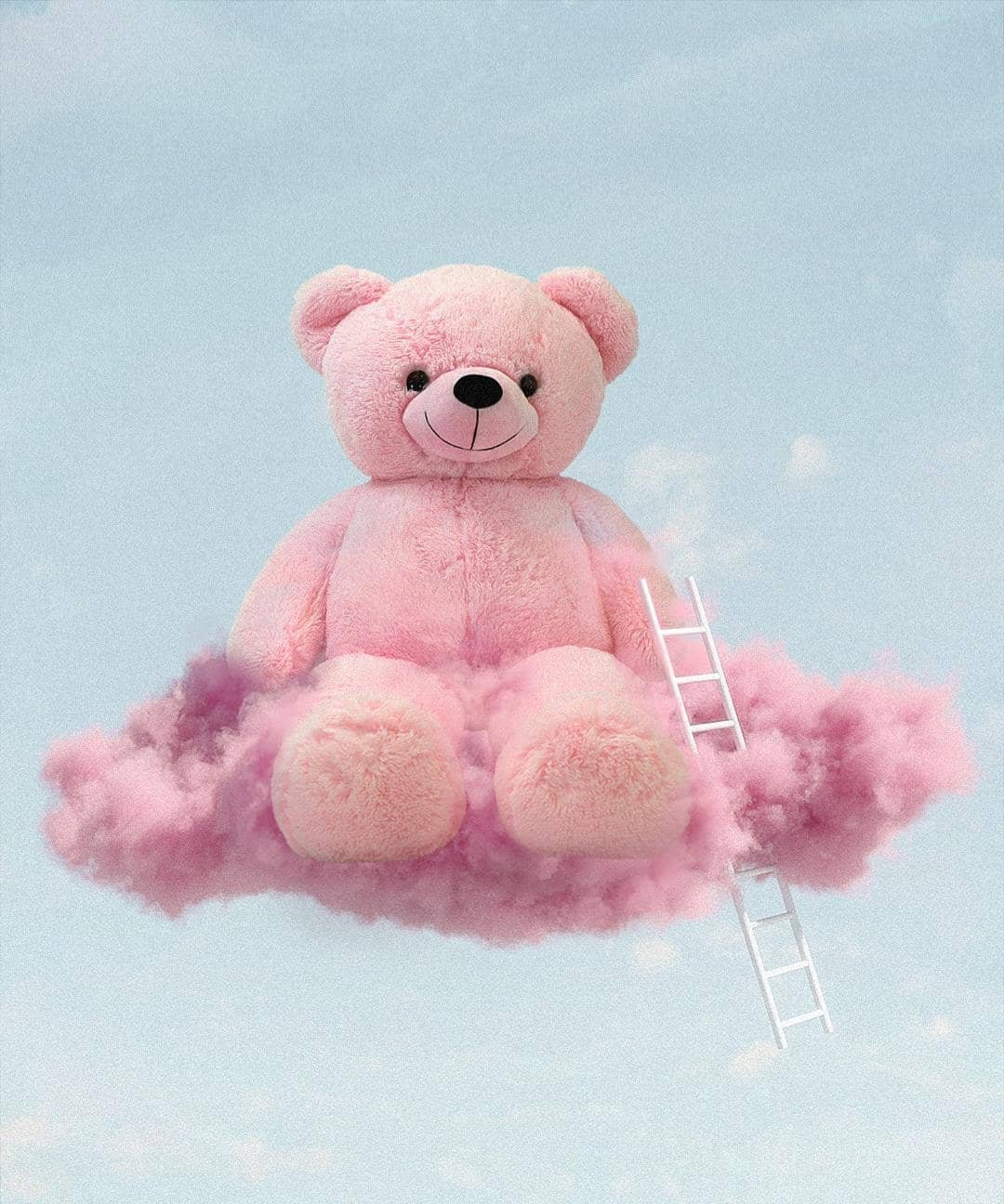 Teddy Bear Images for DP