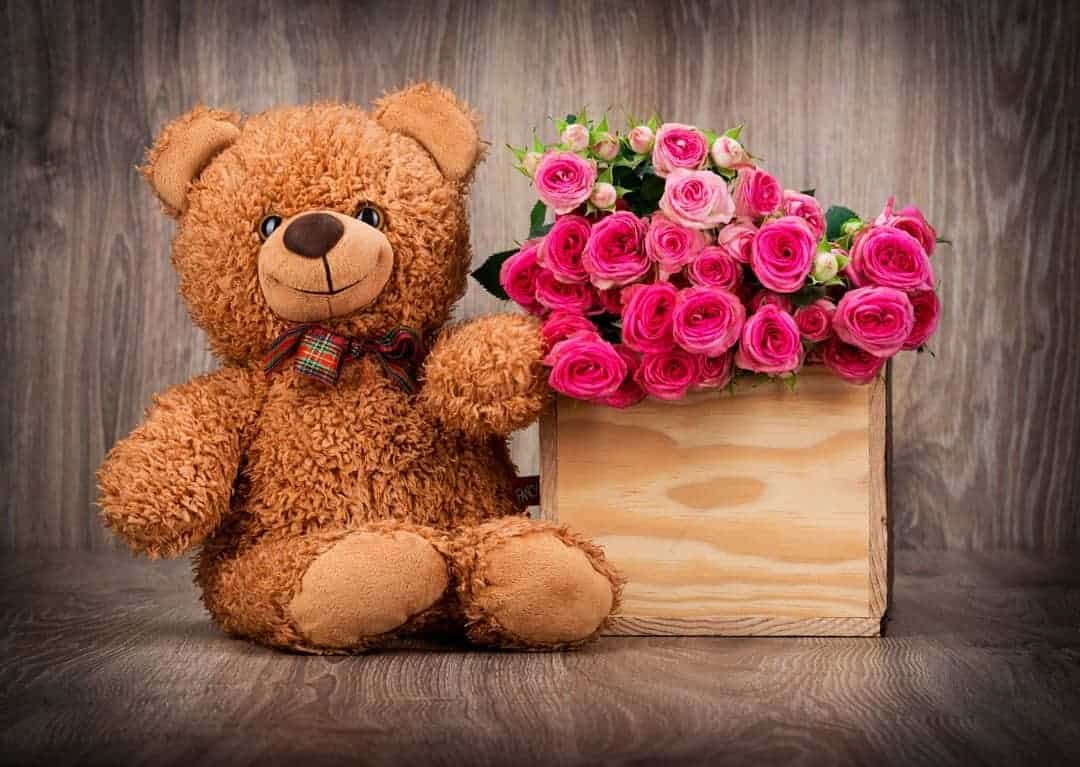 Teddy Bear Whatsapp DP